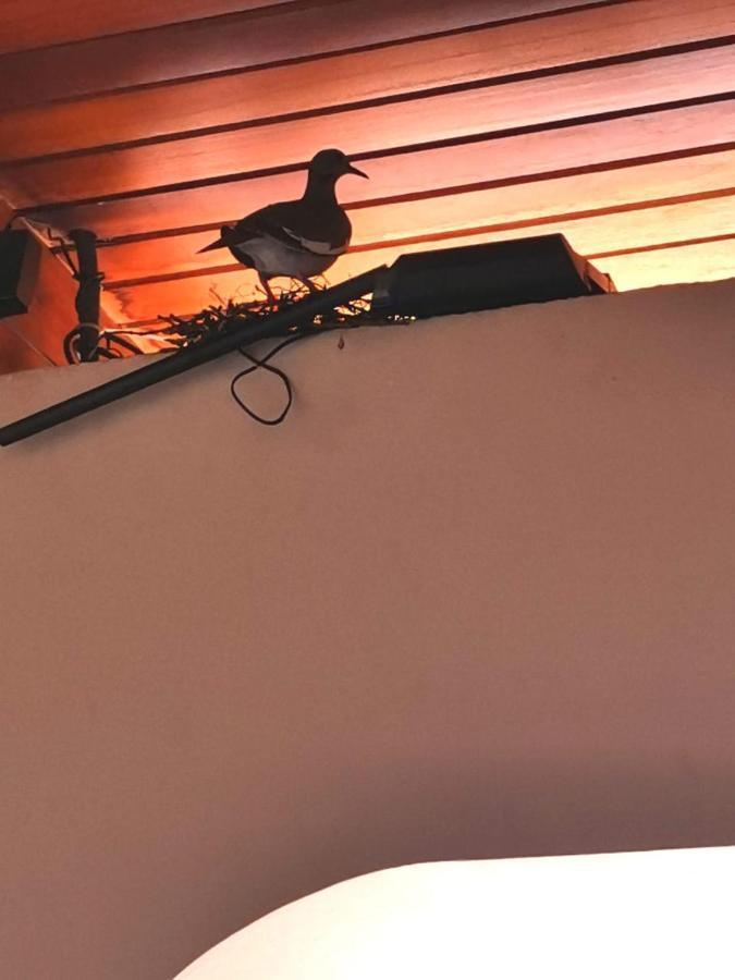 Hotel Wagelia Turrialba Eksteriør bilde